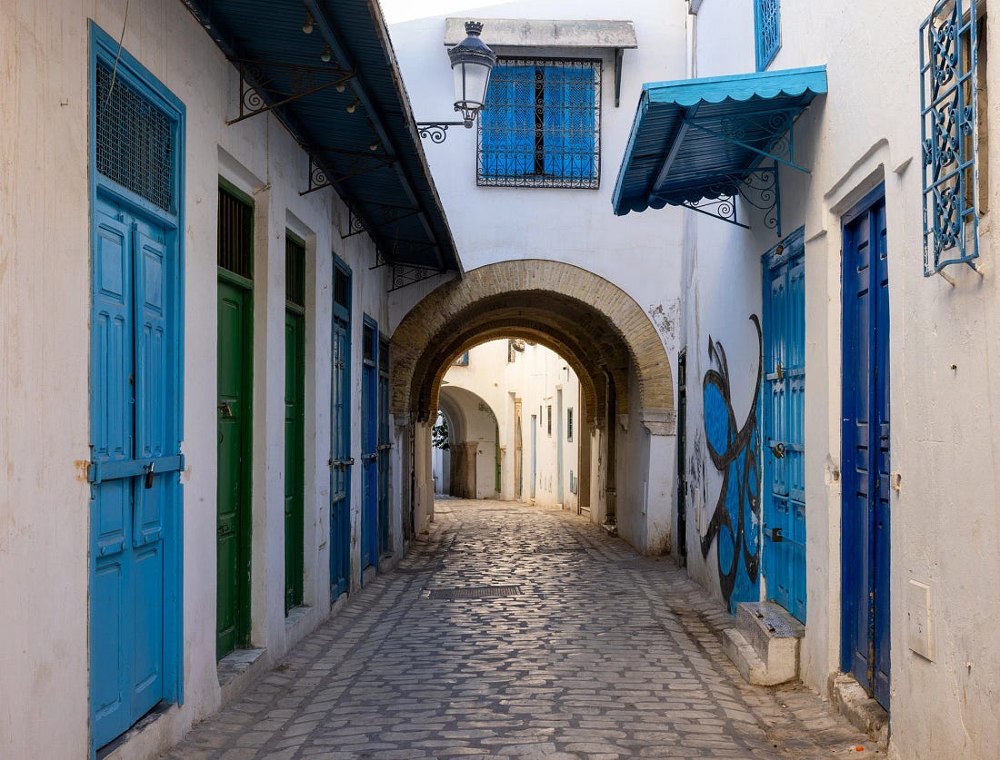 Arched passageway in the Tunis Medina, with blue-painted doors, whitewashed walls, and a stone-paved alley leading deeper into the old city.