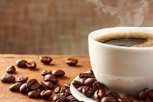 polyphenols in coffee | Gundry MD