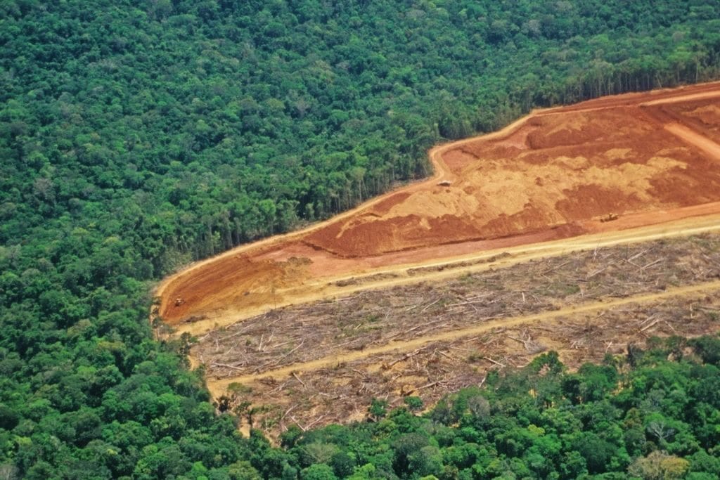 11 Amazon Rainforest Deforestation Facts to Know About | Earth.Org