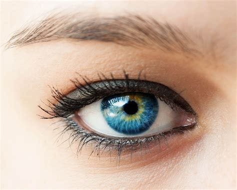 The World's Population By Eye Color - WorldAtlas