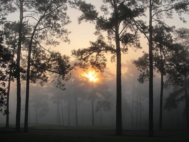 The Masters Its Ownself