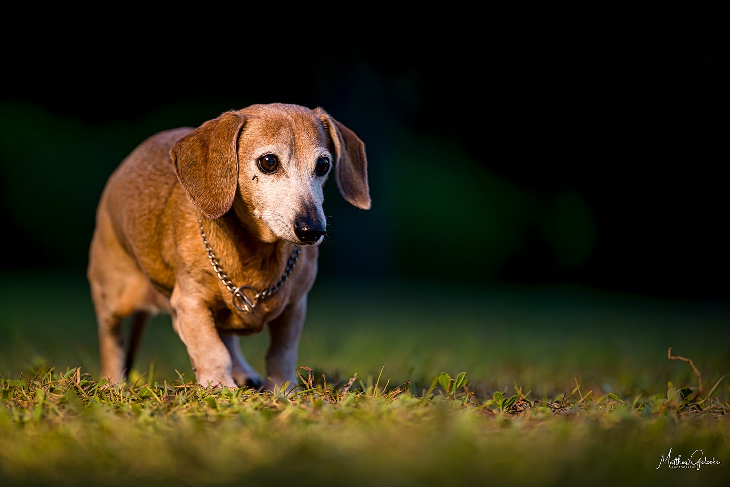 No photo description available.