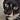 Rocky's avatar