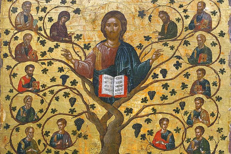 Christ is the True Vine, and We Are the Branches| National Catholic Register