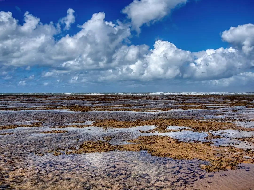 Rock pools 