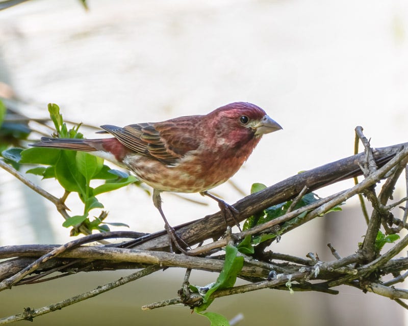 20250610-SJI-277-Edit.jpg 20250610-SJI-277-Edit.jpg