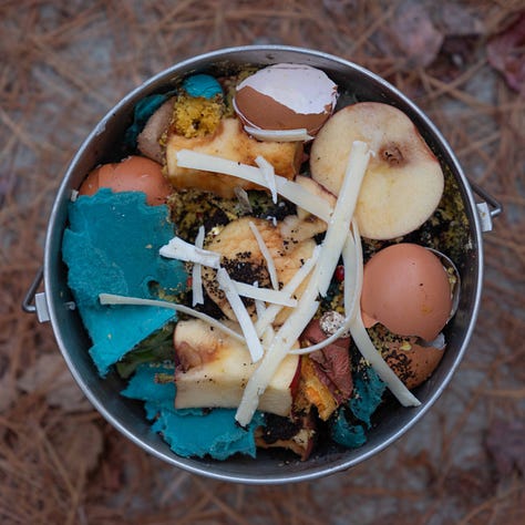 A grid of nine tin buckets of compost.