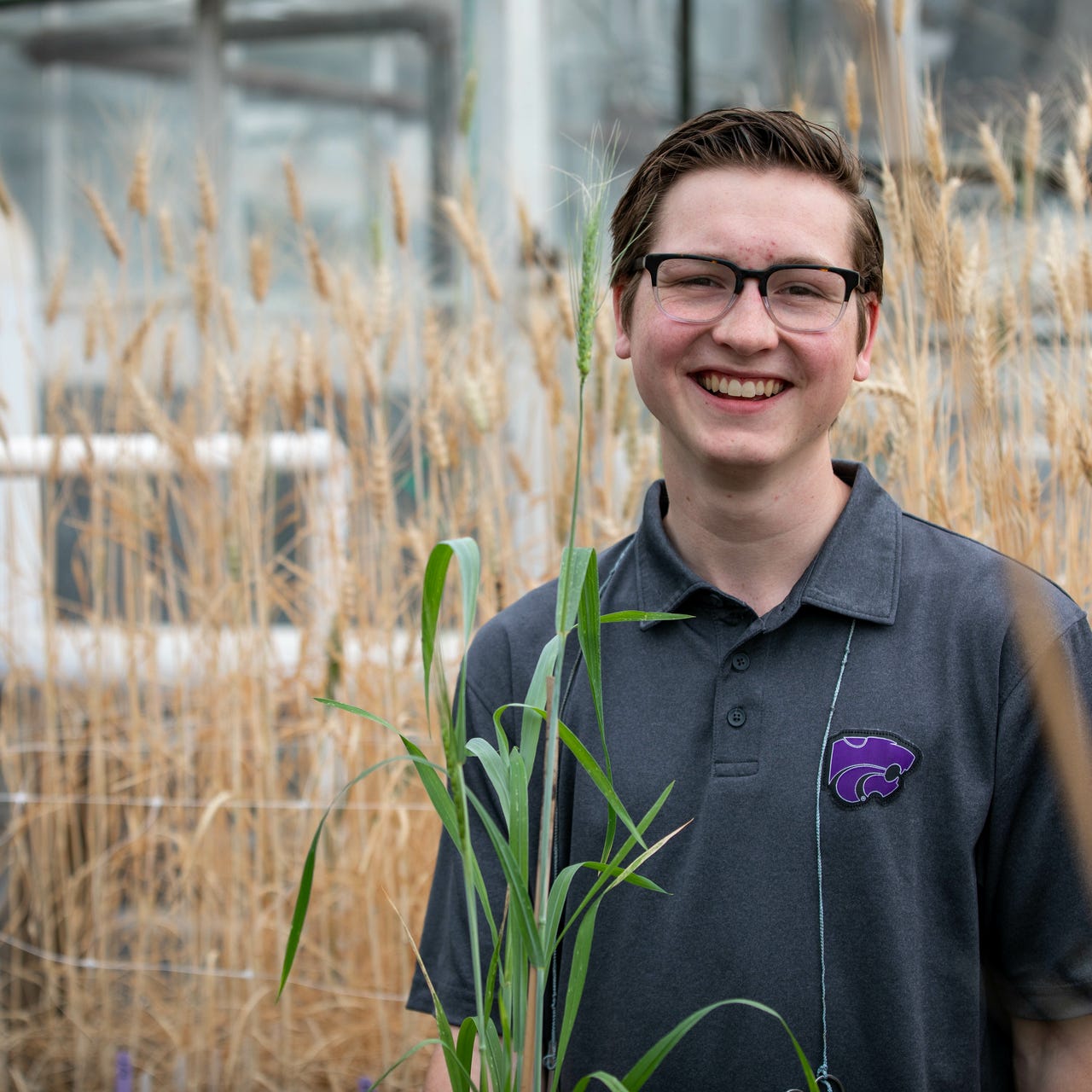 Sketches and Scribbles