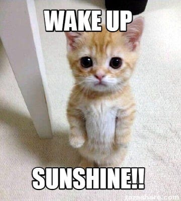 Meme Creator - Funny Wake up SUNSHINE!! Meme Generator at MemeCreator.org!