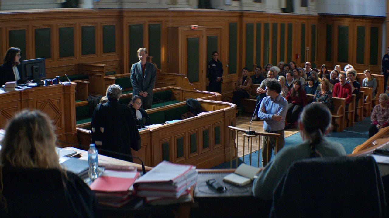 Anatomy of a Fall (Anatomie d'une chute)