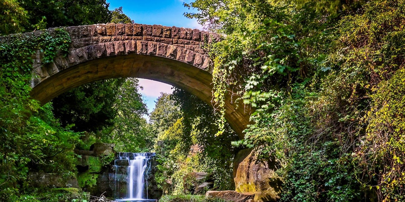 Pond restoration becomes a calendar pin-up