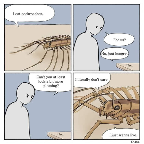 Best Funny cockroach Memes - 9GAG