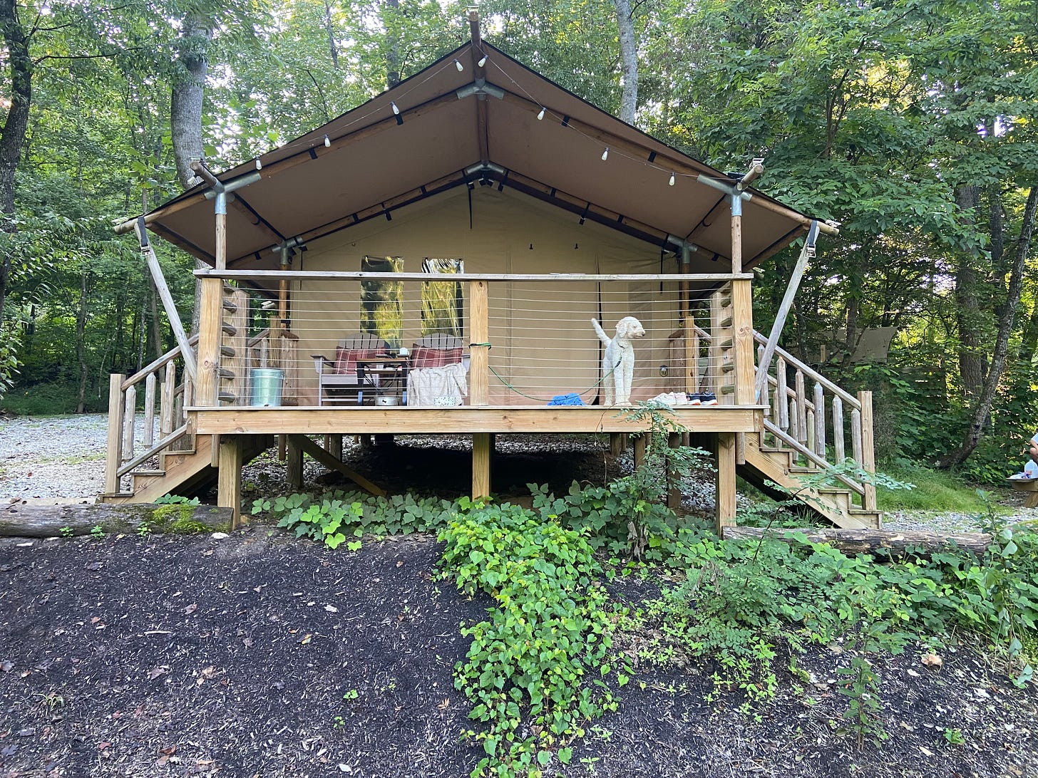 big glamping tent and dog
