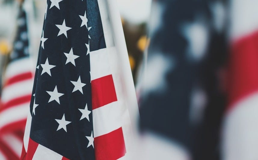 closeup photo of U.S.A. flag