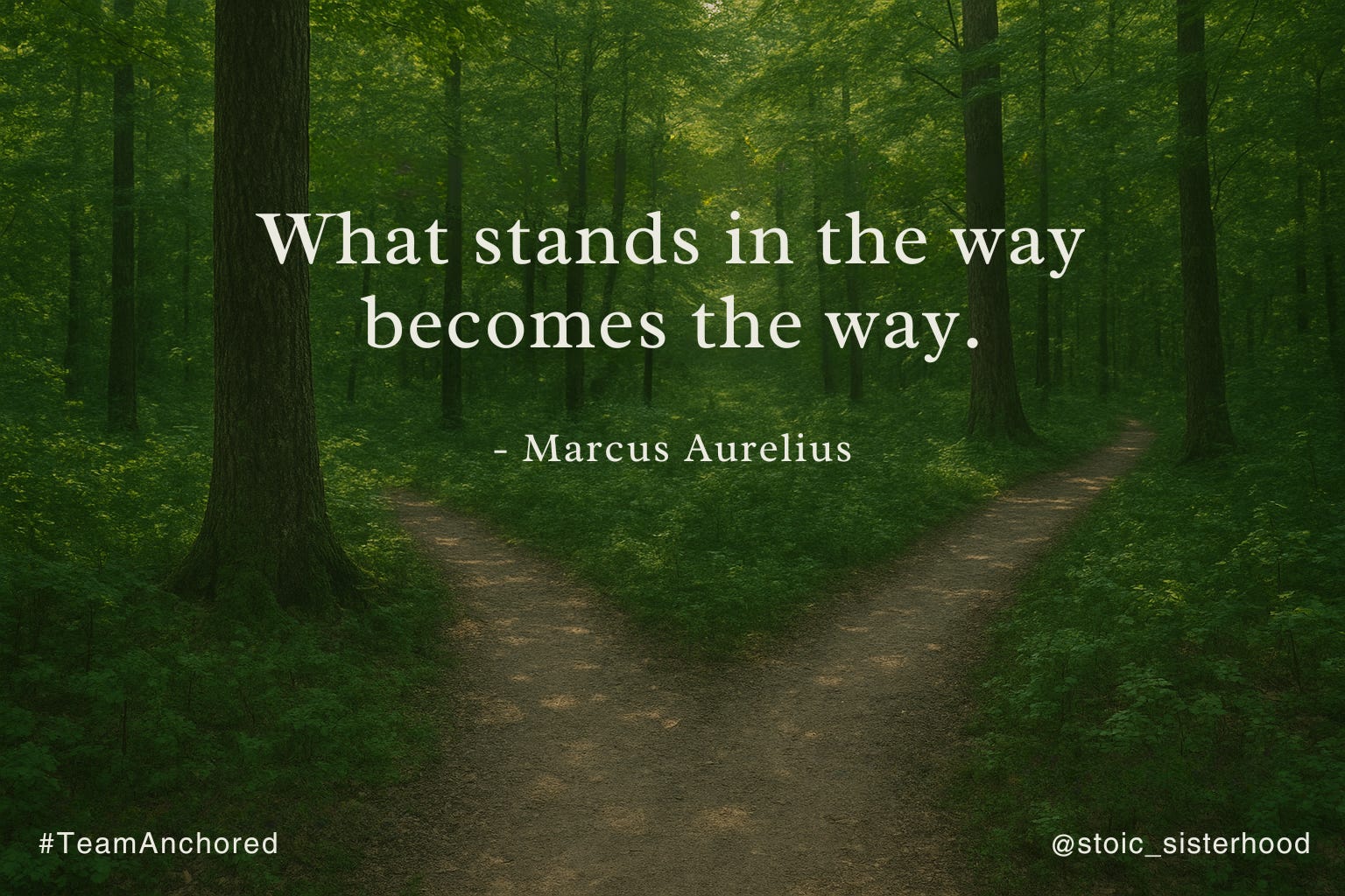 From Hurt to Hope: The Power of Reframing Setbacks into Steppingstones