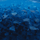 HOTDISH! Tabs, Thurs., Sept. 19, 2024