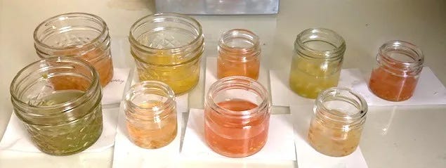 Seeds soaking in jars Seeds soaking in jars
