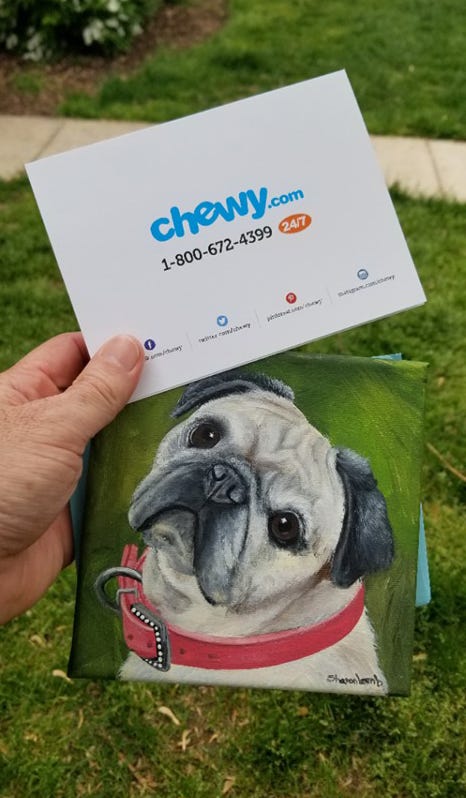 chewy refund dog food chewy refund dog food