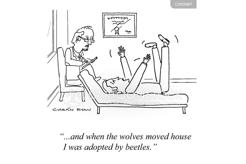 A cartoon about the beetles