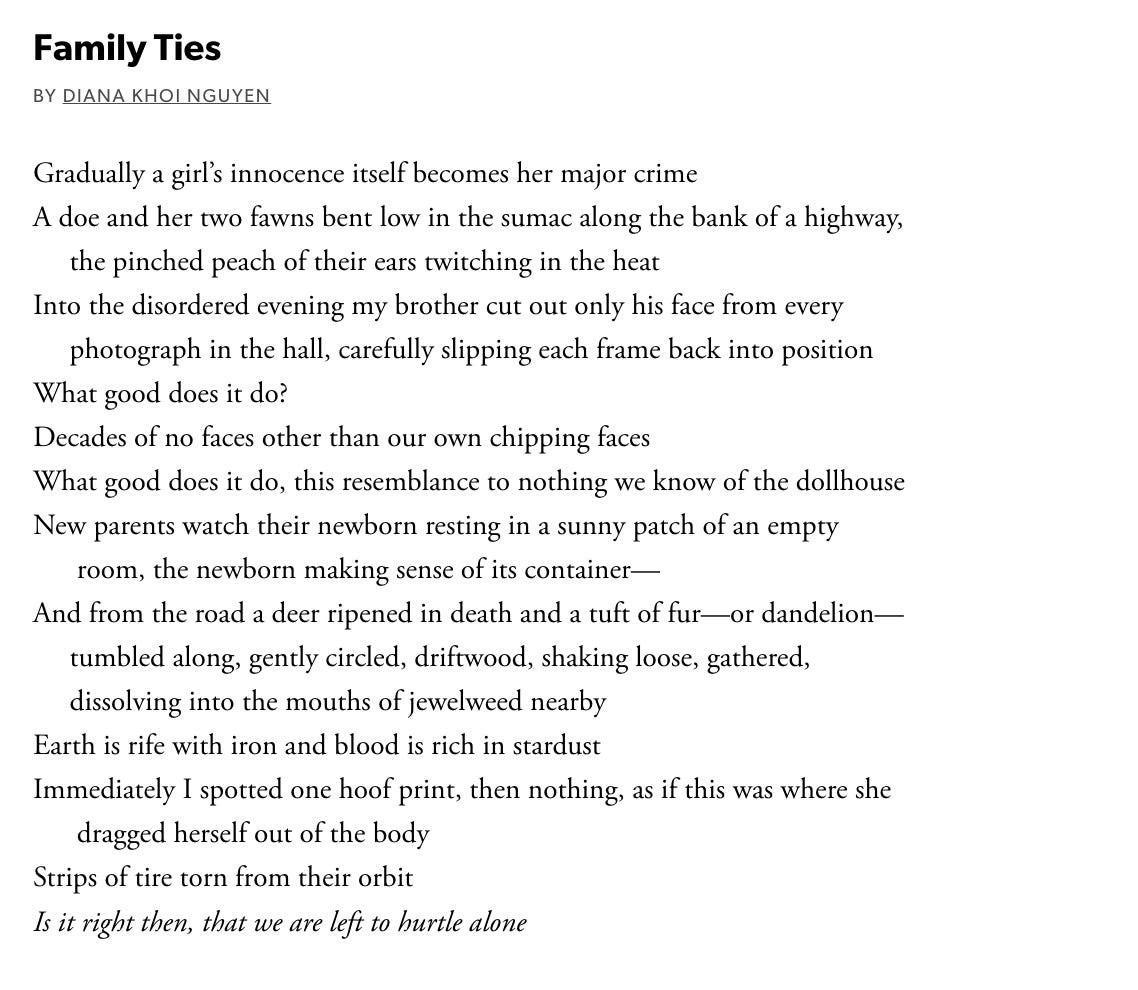 A screenshot of the poem Family Ties by Diana Khoi Nguyen