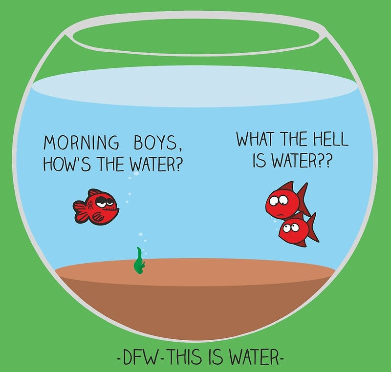 A cartoon of the How's the Water? meme