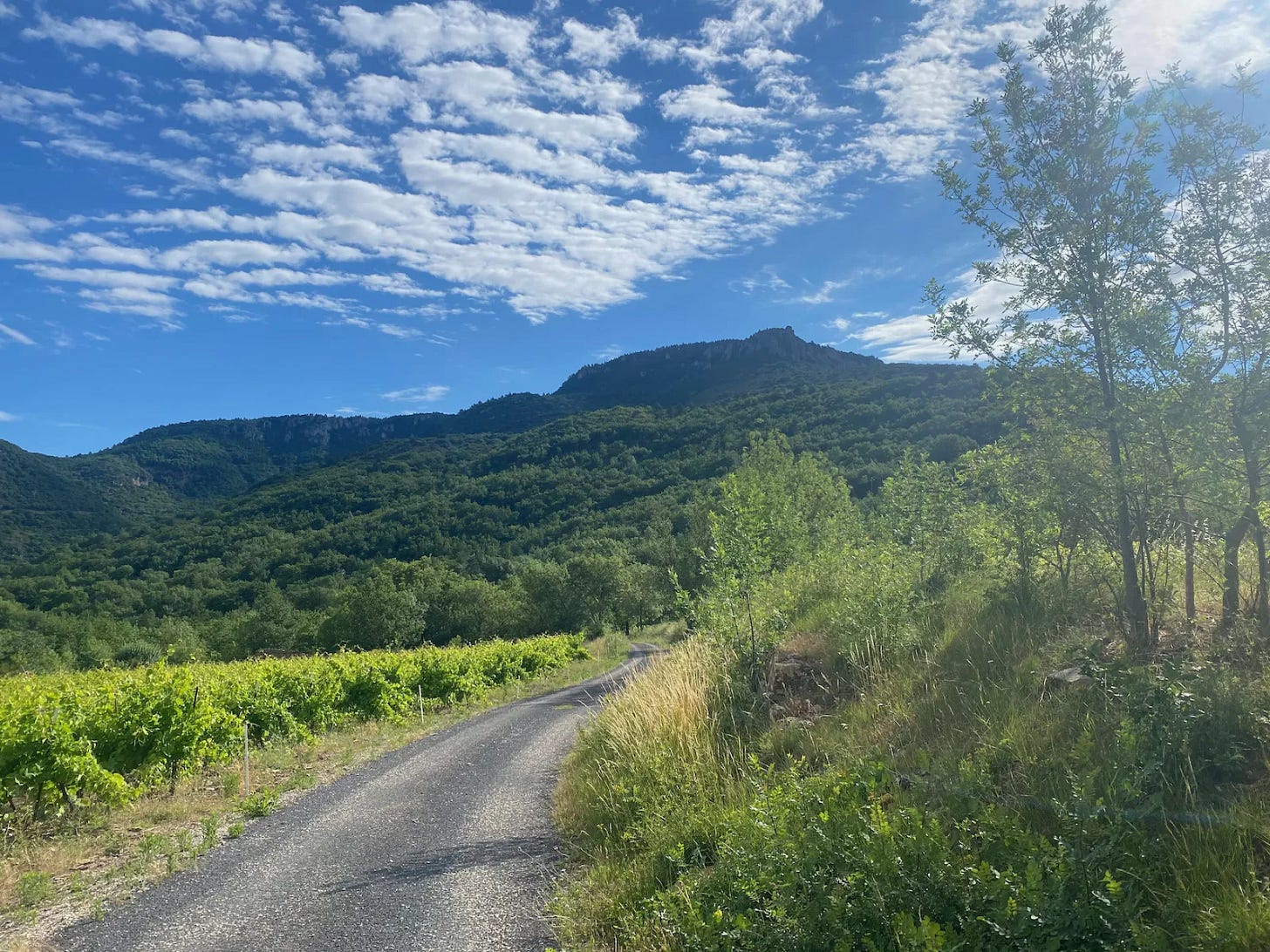 Vers le mont Saint-Baudille