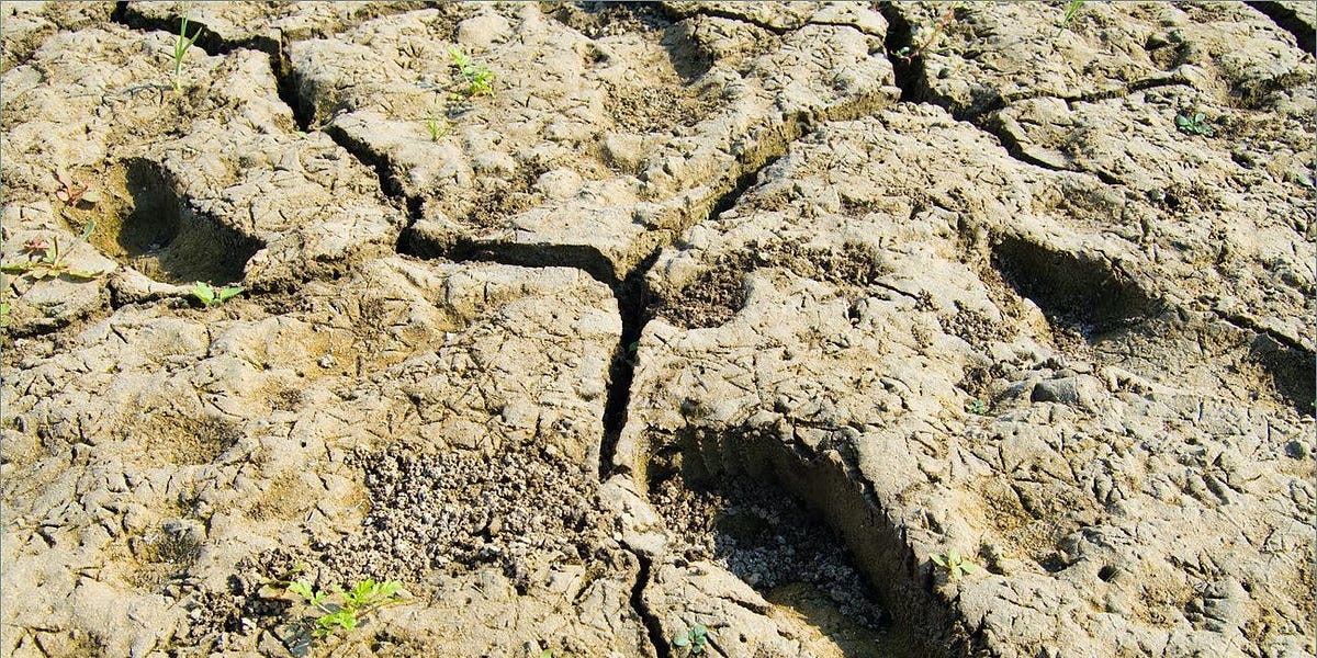Moud Rocks The mud-rock spectrum - by Duncan Sabien - Homo Sabiens