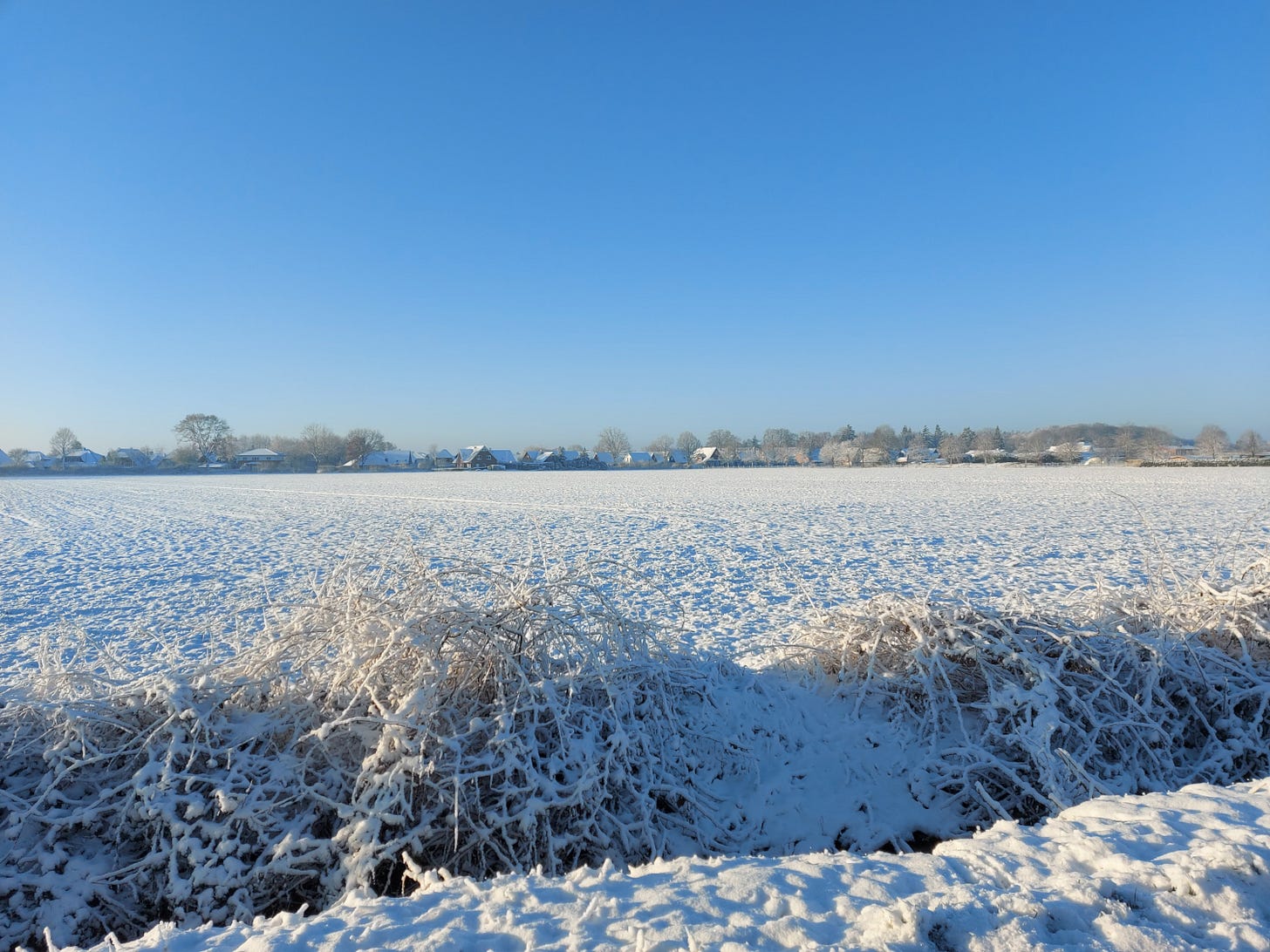 Looking over a snow-covered meadow with a settlement in the distance, sunny, blue sky