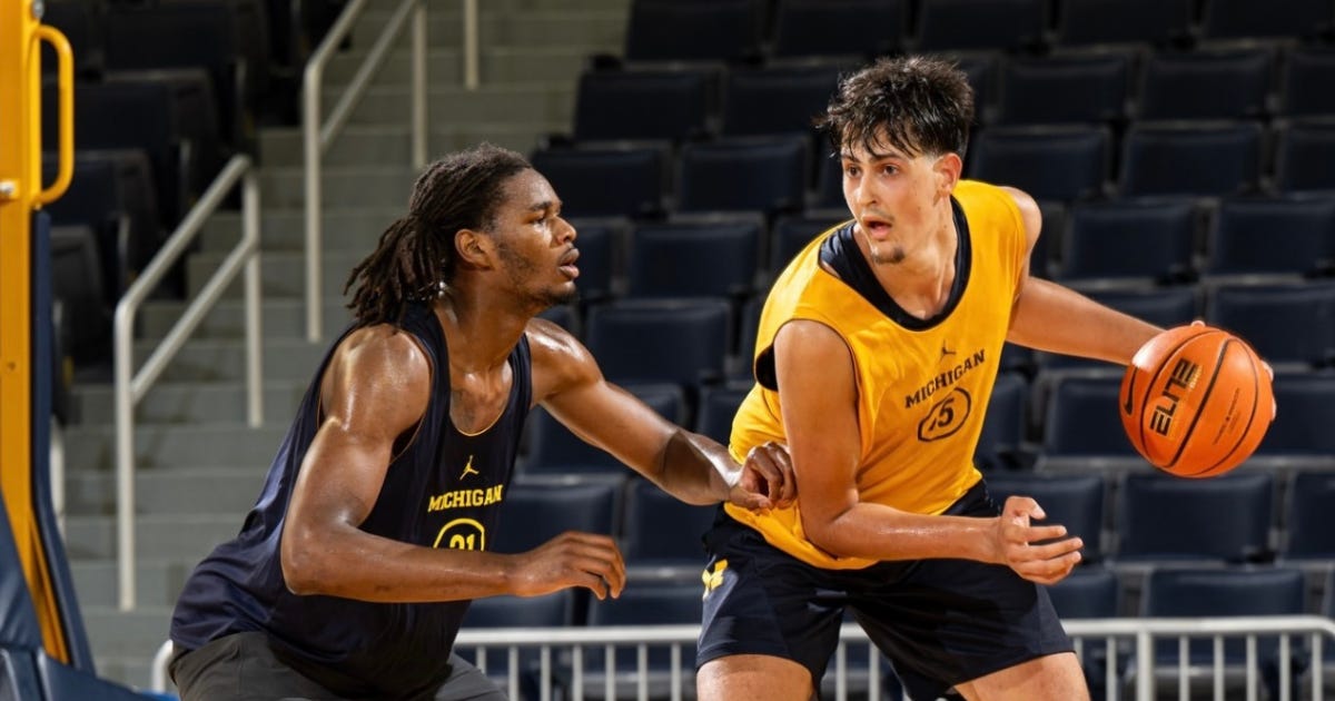 Michigan basketball: Aday Mara 'liked the way they do everything'