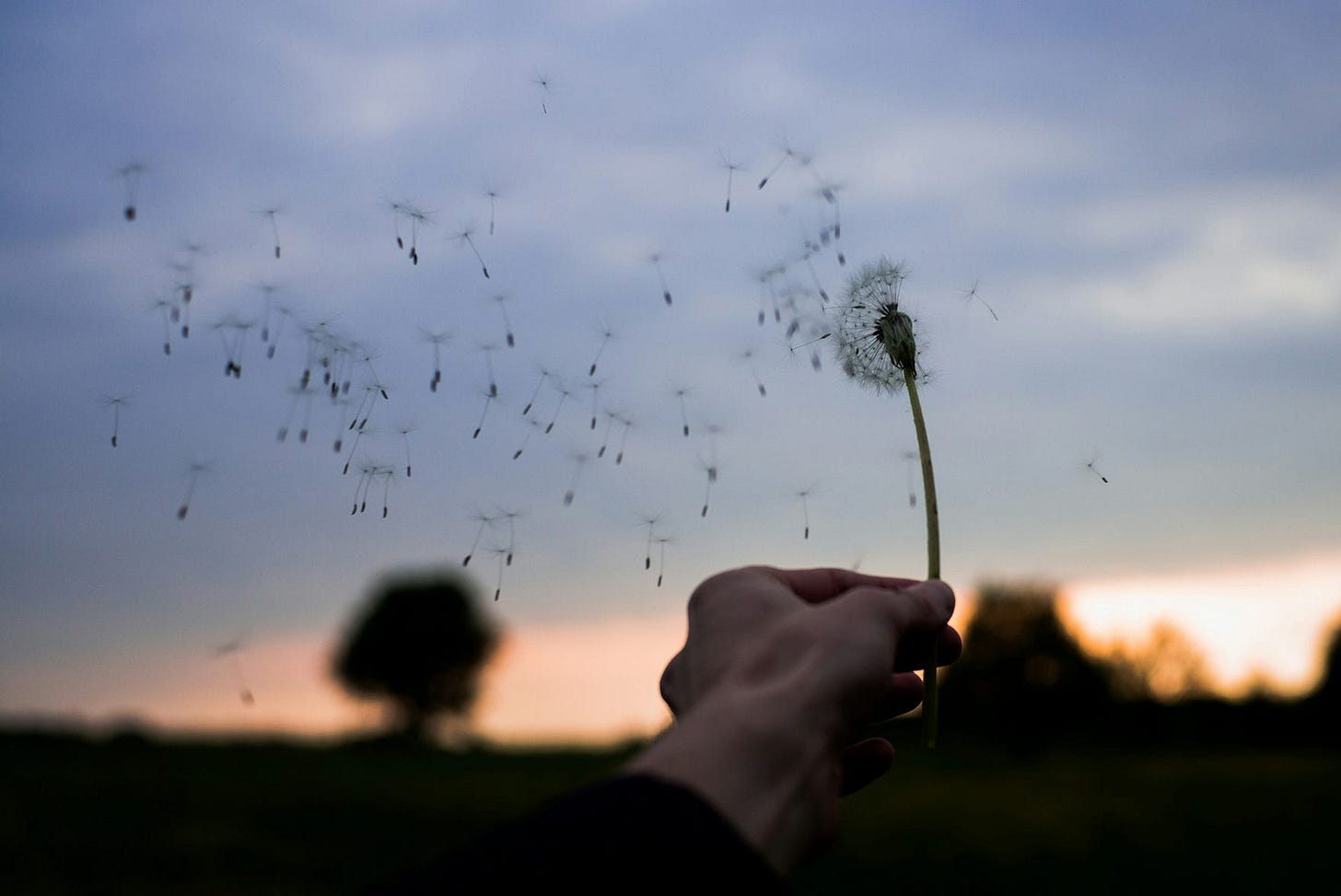 A person holds a single dandelion flower against a backdrop of flying feathers and a sunset, symbolizing mindfulness and the fleeting nature of thoughts. The image reflects the themes of observing the mind in action and recognizing that thoughts, like the wind, are momentary phenomena that don’t define us. A person holds a single dandelion flower against a backdrop of flying feathers and a sunset, symbolizing mindfulness and the fleeting nature of thoughts. The image reflects the themes of observing the mind in action and recognizing that thoughts, like the wind, are momentary phenomena that don’t define us.