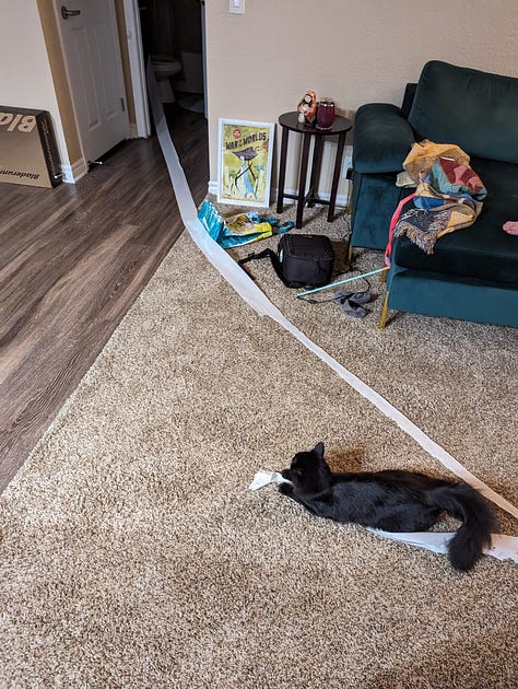 My black cat Chianti hiding behind a laundry hamper, messing up our toilet paper, and hiding such that we can only see her spooky eyes.
