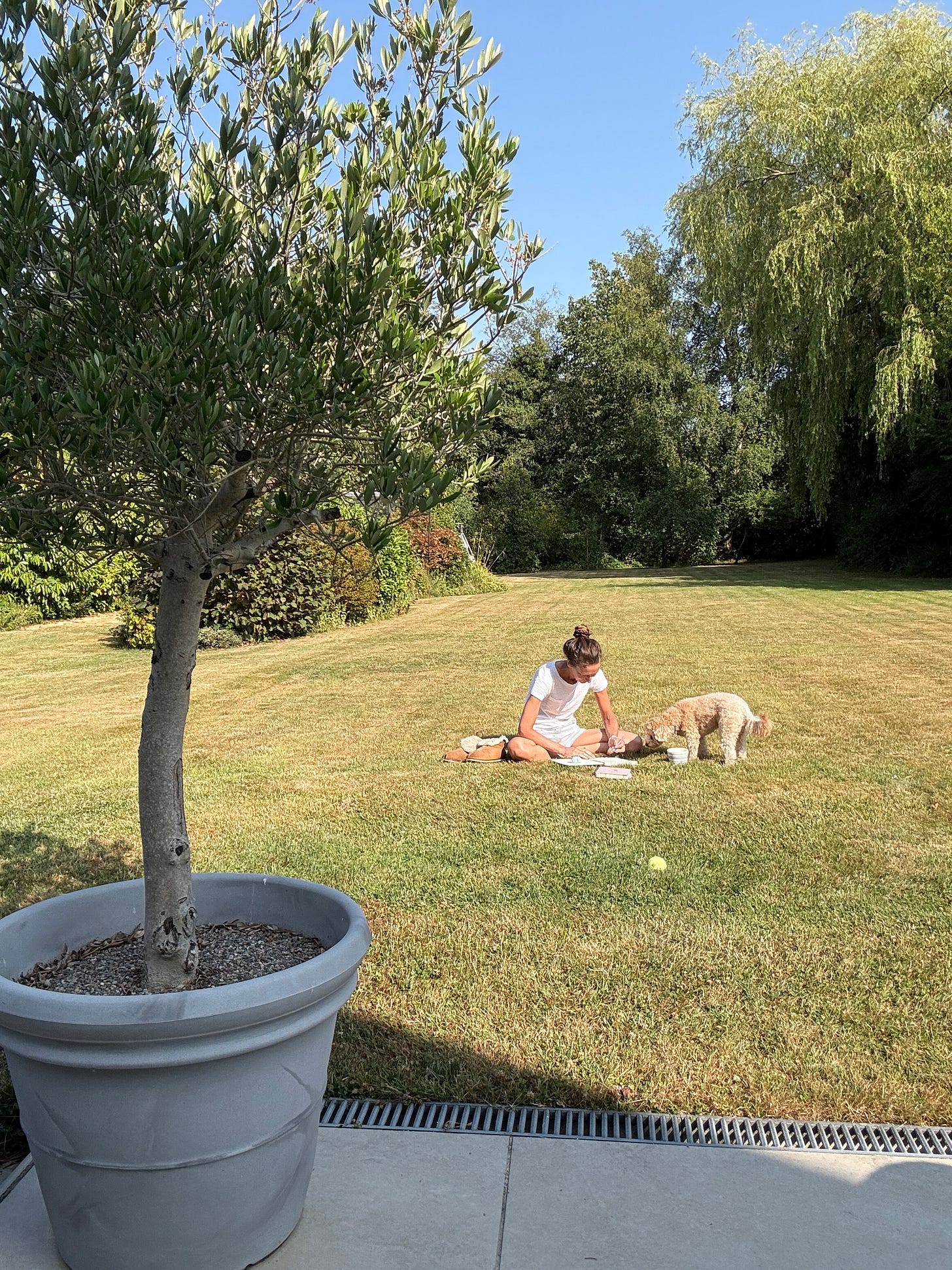 Sitting on the grass in my garden journaling with my dog 