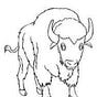 Buffalo's avatar