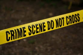 Crime and Criminology | TRAILS ...