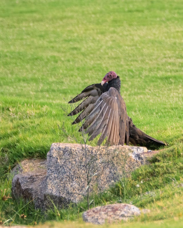 20260928-sgc-195-Edit.jpg