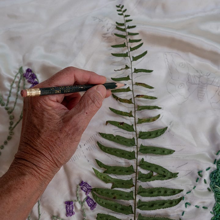 Diptych: On the left, a hand holds a pencil between the fronds of a green fern emerging from the bottom; On the right, a foot walks on hair-like green seaweed.
