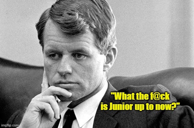 The RFK Jr. Question
