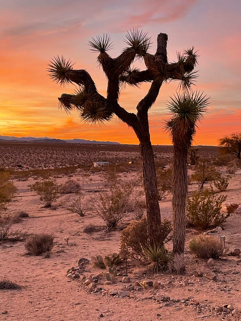 Art supplies on table with view of the desert, pinks and purples in the sky for sunset, a joshua tree at sunset, a pink house in the desert that matches the pink colors in the sky