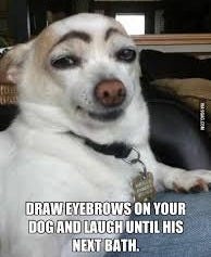10 funny things you can do to make ... 10 funny things you can do to make ...