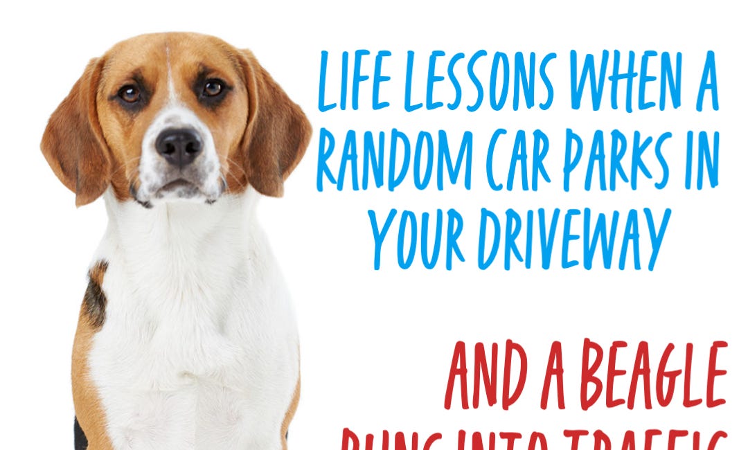 Life Lessons When A Random Car Parks in Your Driveway and a Beagle Runs Into Traffic