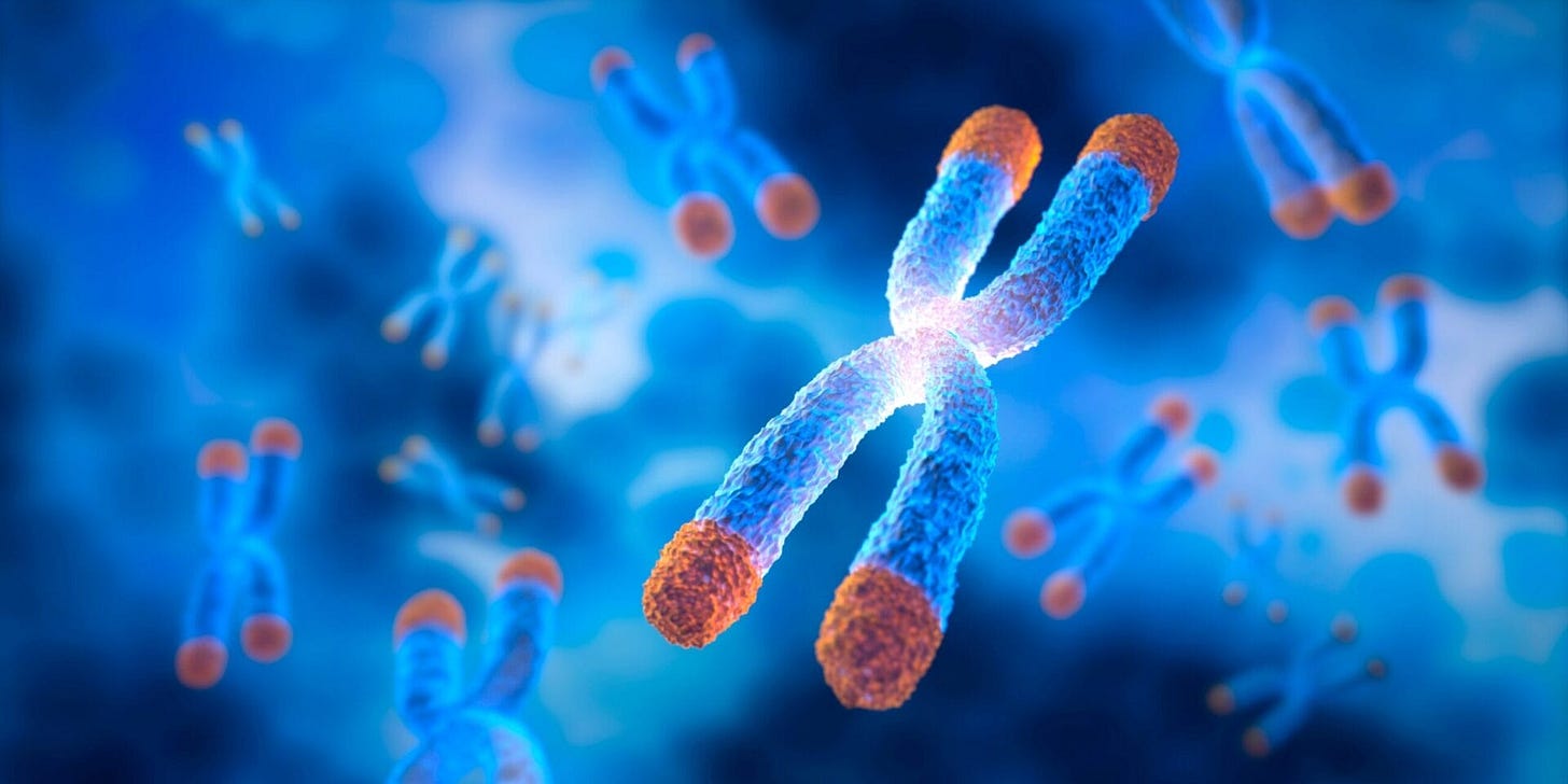 What is a telomere? | Definition of telomeres