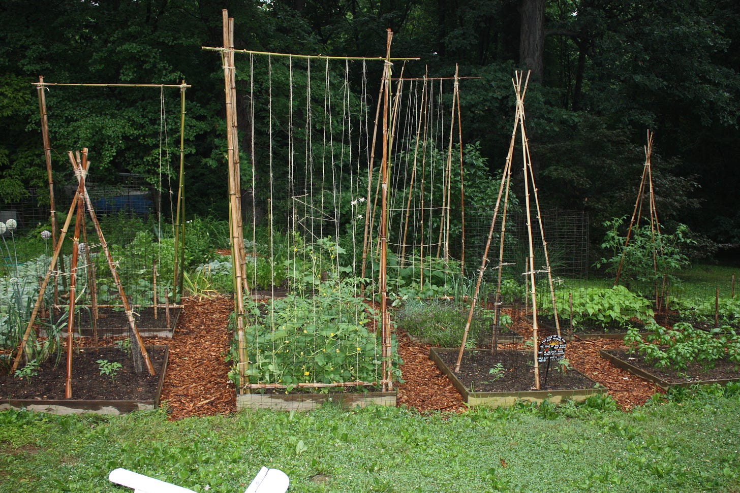 Bamboozling: How to Build a Bamboo Trellis – Let's Face the Music
