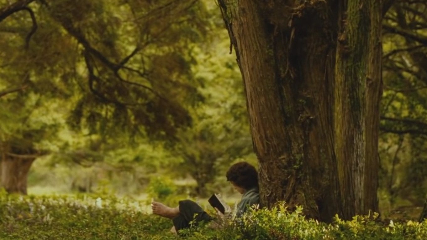 may on X: "oh to be frodo reading under a tree in the shire, head empty of  thoughts https://t.co/GB5u3IOSKg" / X