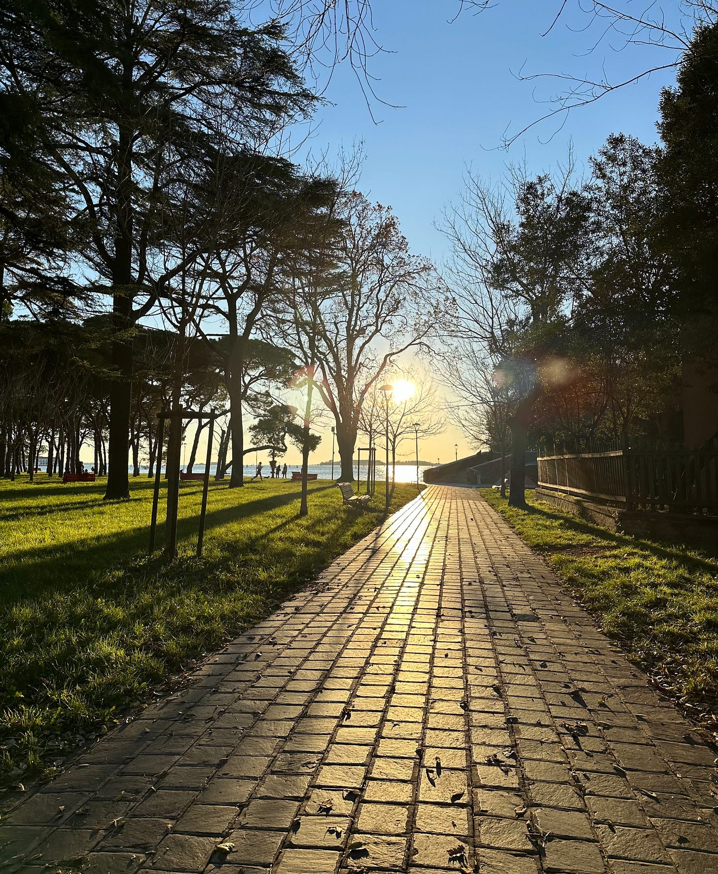 Late afternoon light in the Parco delle Rimembranze, Venice
