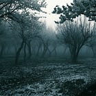 The Orchard that kept Blooming