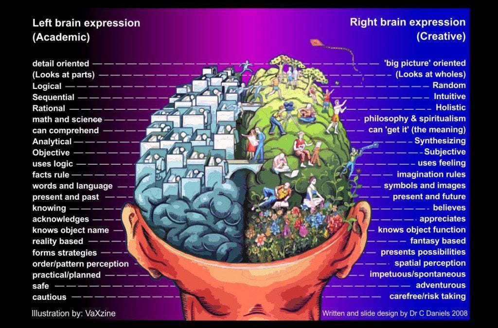 left vs right hemisphere