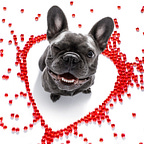 Home Base with Jeff Warren