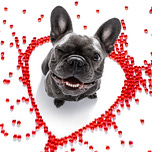 Home Base with Jeff Warren