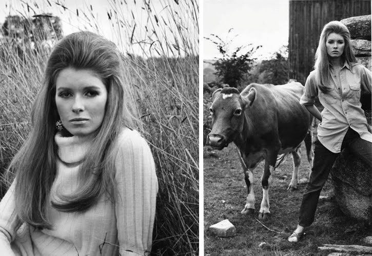 stephmodo: Martha Stewart for Chanel