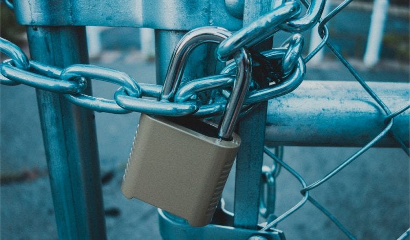 lockdowns did nothing lockdowns did nothing